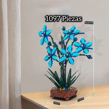 Macetero orquídea azul | 1097 Piezas