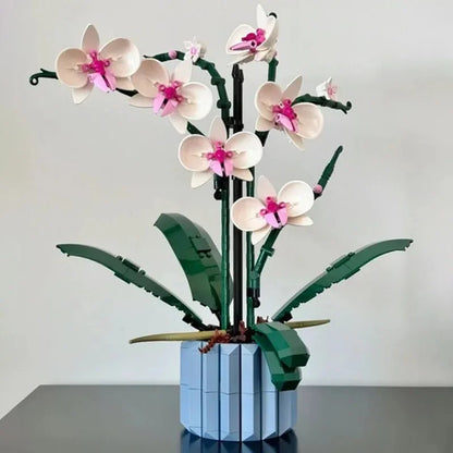 Orquídeas | 711 Piezas