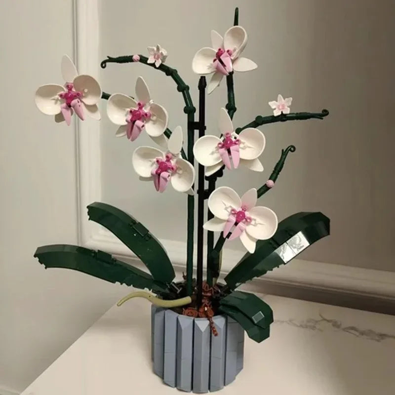 Orquídeas | 711 Piezas